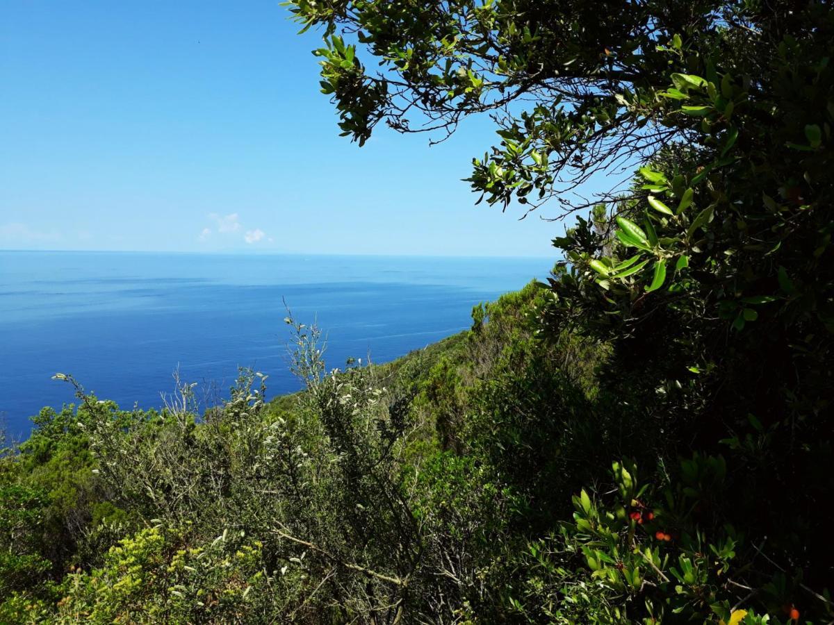 Appartamento Claudi A San Vincenzo Eksteriør billede