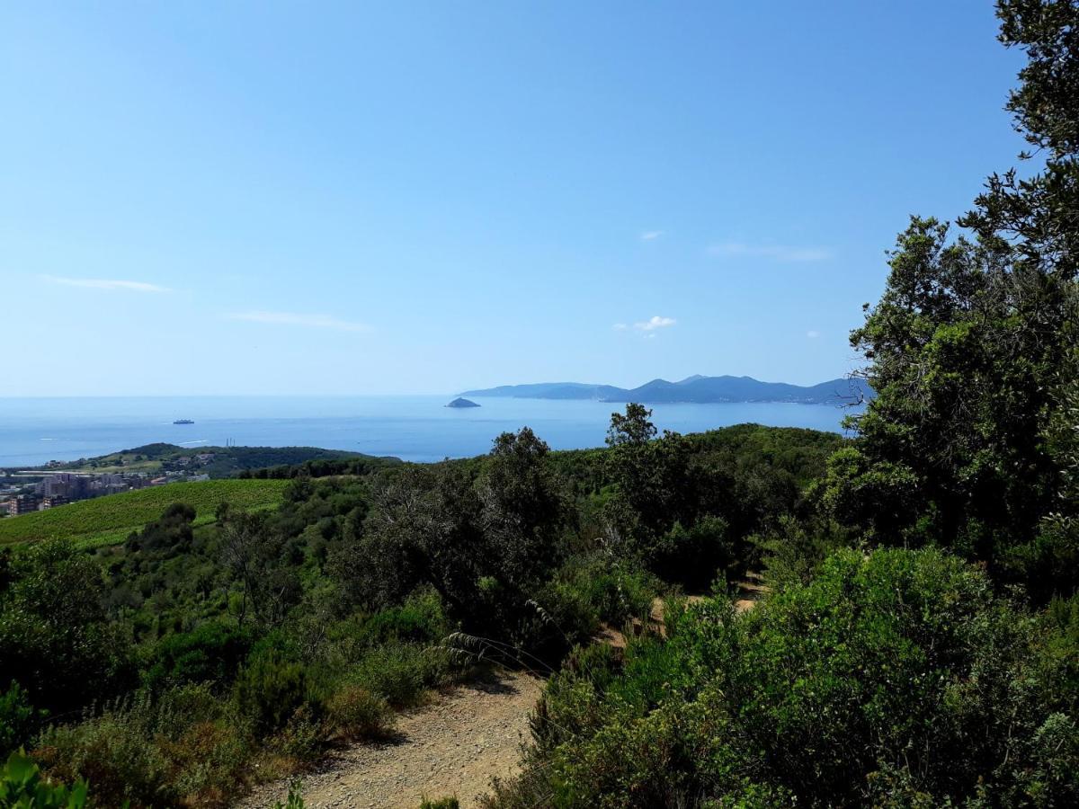 Appartamento Claudi A San Vincenzo Eksteriør billede
